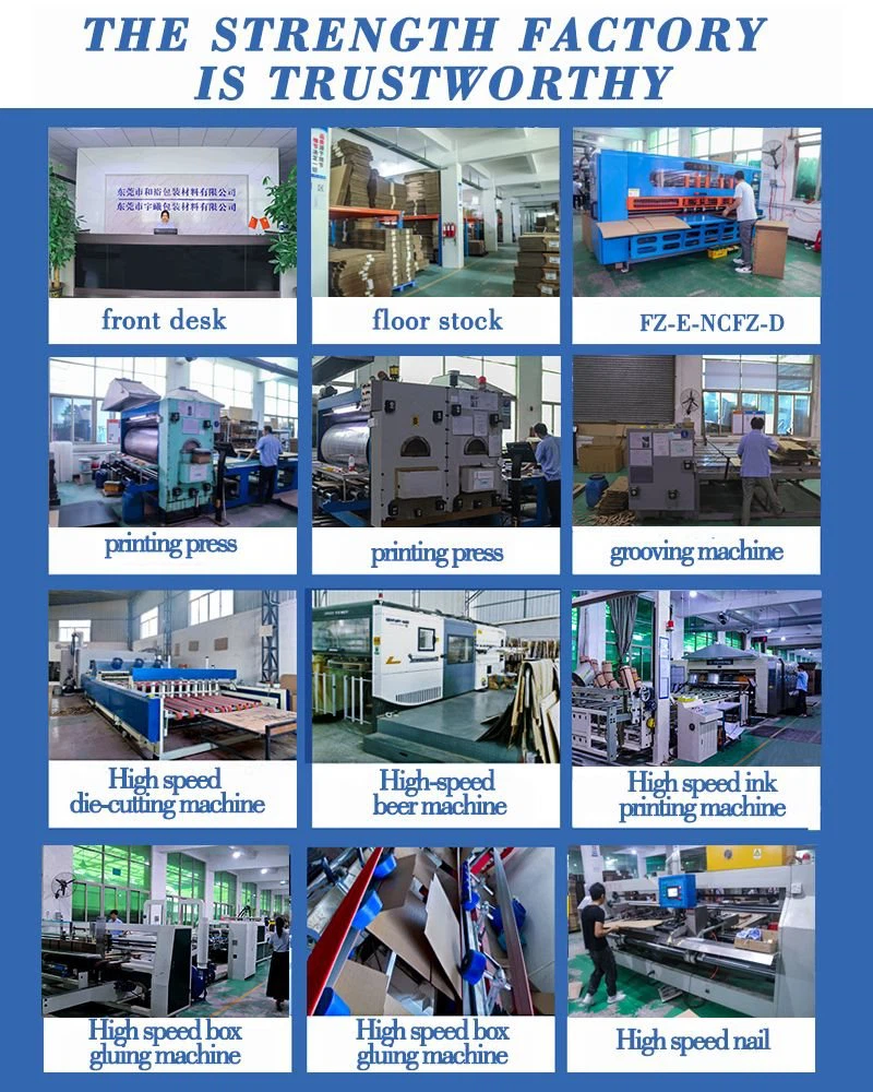 （6）Carton production workshop